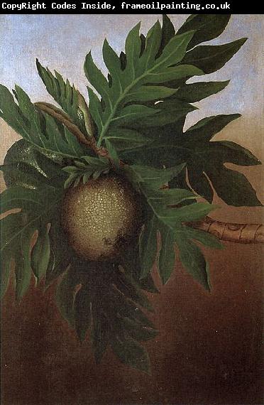 unknow artist Hawaiian Breadfruit, oil on canvas painting by Persis Goodale Thurston Taylor, c. 1890